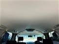 2008 Toyota Alphard G