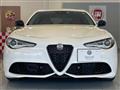 2020 Alfa Romeo Alfa Romeo Others