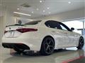 2020 Alfa Romeo Alfa Romeo Others