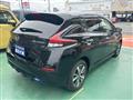 2021 Nissan Leaf