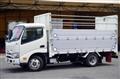 2021 Toyota Dyna Truck