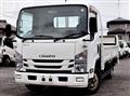 2019 Isuzu Elf Truck