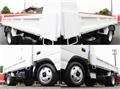 2019 Isuzu Elf Truck