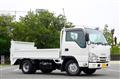 2017 Isuzu Elf Truck