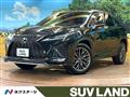 2020 Lexus RX