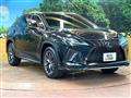 2020 Lexus RX