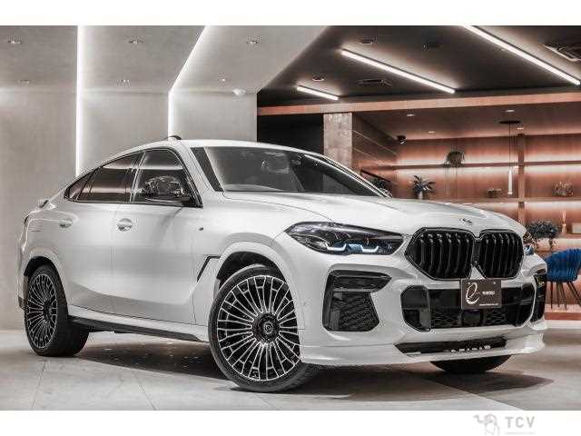 2022 BMW X6
