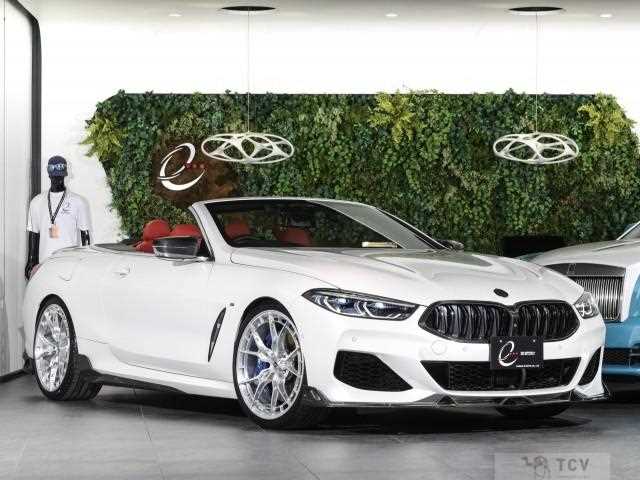 2019 BMW 8 Series