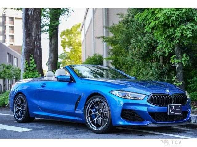 2019 BMW 8 Series