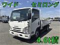 2020 Isuzu Elf Truck