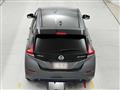 2021 Nissan Leaf