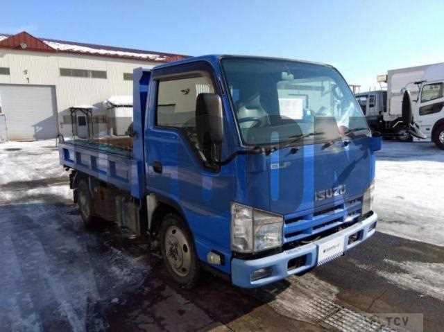 2013 Isuzu Elf Truck