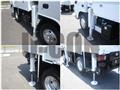 2017 Isuzu Elf Truck