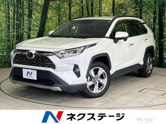 2020 Toyota RAV4