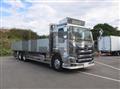 2019 Hino Profia