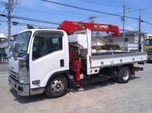 2019 Isuzu Elf Truck