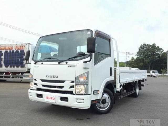 2017 Isuzu Elf Truck
