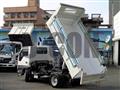 2020 Isuzu Elf Truck