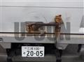 2006 Toyota Toyoace