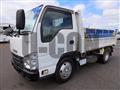 2017 Isuzu Elf Truck