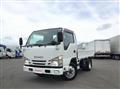 2020 Isuzu Elf Truck
