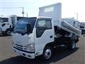 2017 Isuzu Elf Truck