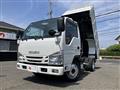 2019 Isuzu Elf Truck