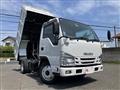 2019 Isuzu Elf Truck