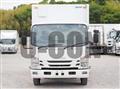 2019 Isuzu Elf Truck
