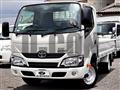 2019 Toyota Dyna Truck