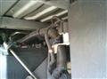 2015 Toyota Dyna Truck