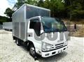 2020 Isuzu Elf Truck