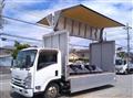 2018 Isuzu Elf Truck