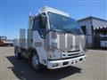 2020 Isuzu Elf Truck