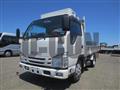 2020 Isuzu Elf Truck