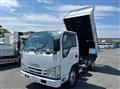 2021 Isuzu Elf Truck