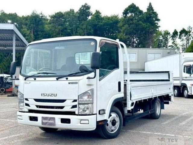 2019 Isuzu Elf Truck