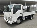 2019 Isuzu Elf Truck