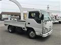 2019 Isuzu Elf Truck