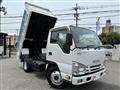 2017 Isuzu Elf Truck