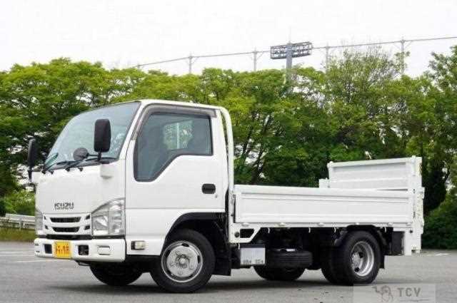 2017 Isuzu Elf Truck