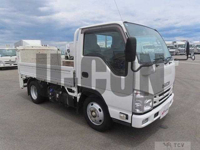 2019 Isuzu Elf Truck