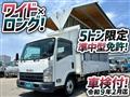 2009 Isuzu Elf Truck