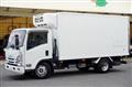 2020 Isuzu Elf Truck