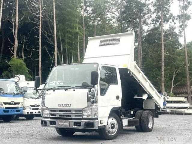2019 Isuzu Elf Truck