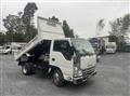 2019 Isuzu Elf Truck