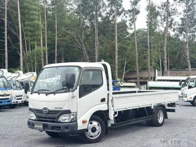 2019 Hino Dutro