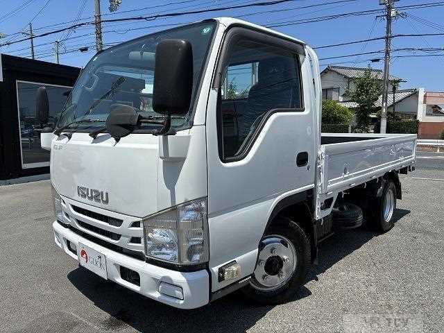 2019 Isuzu Elf Truck