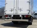 2019 Isuzu Elf Truck