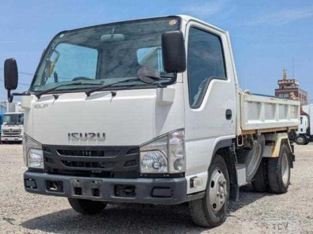 2019 Isuzu Elf Truck